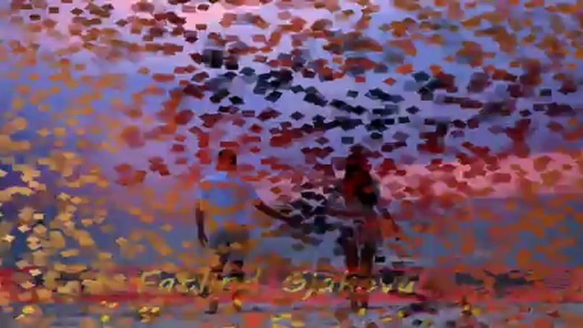 Afrim Muqiqi - Mos Tu Pift Rakia ( Potpuri )