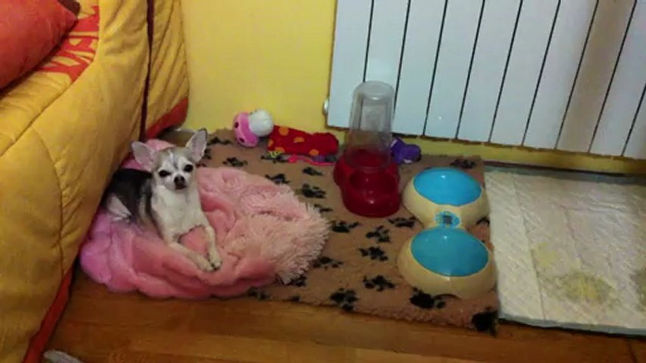 Kylie et la nouvelle technologie culinaire