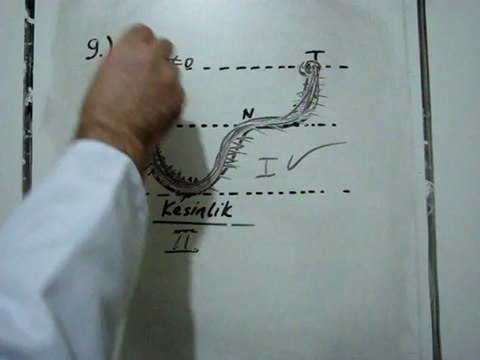 UĞUR DERSHANESİ MEZUN VE 12.SINIF YGS-4 SORU 9