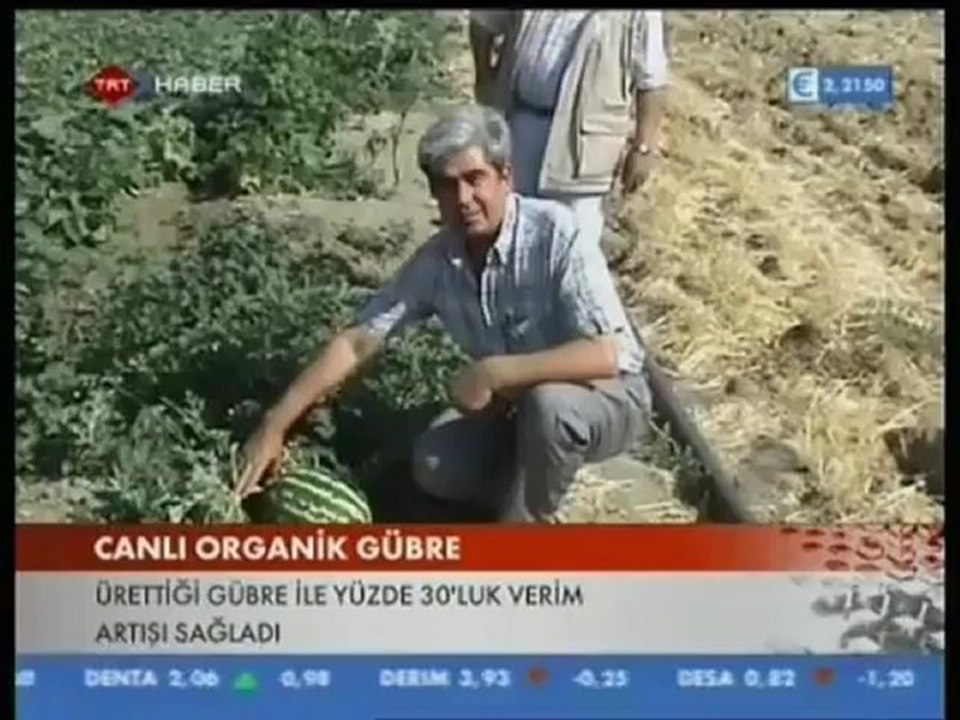 Yarasa Gübresi ile Canlı Organik Gübre TRT Haber