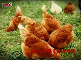 Üreticinin Sesi Organik Gübre 2