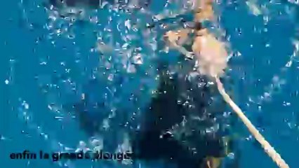 bapteme plongee louane