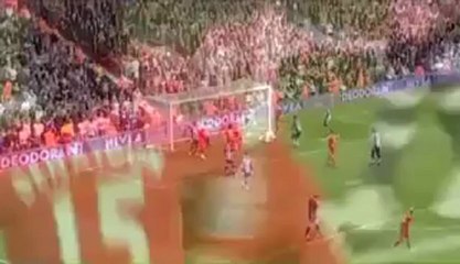 Dirk Kuyt - all goals 2008-2009