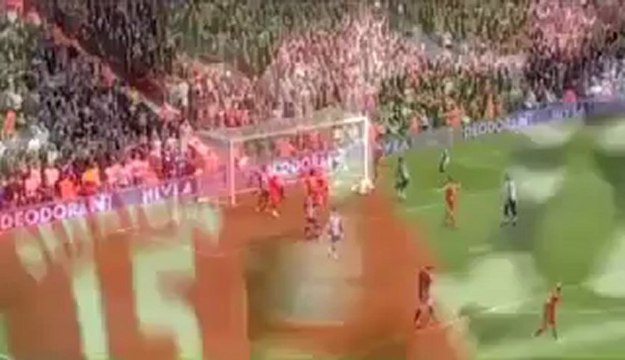 Dirk Kuyt - all goals 2008-2009