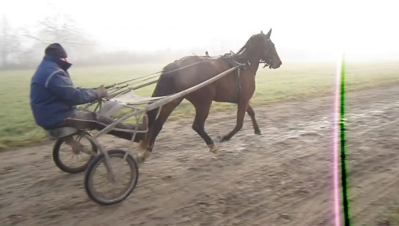 agdalena 12012013entrainementcool