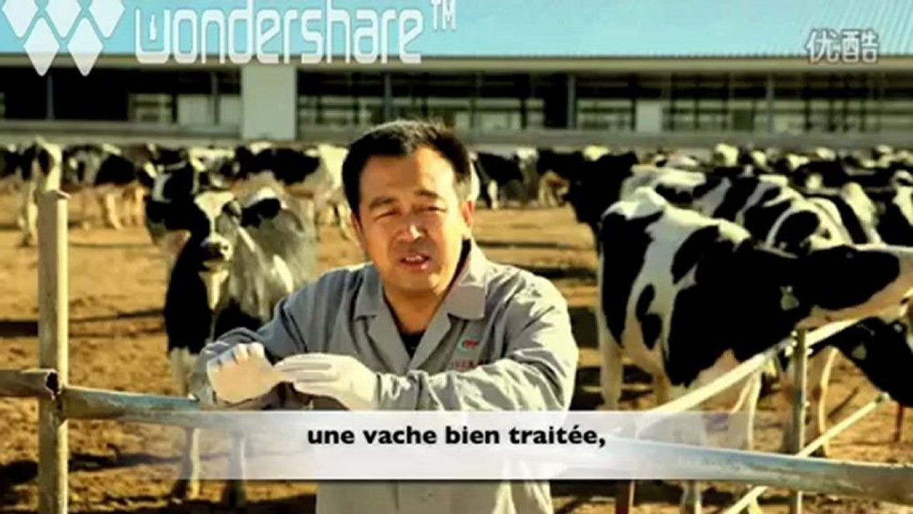 Lait en poudre (chinois)