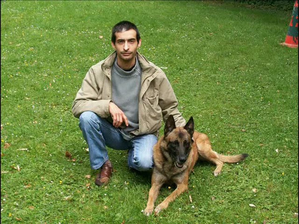 Malinois familly