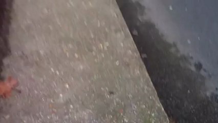 Act Up organise une manifestation contre La Manif pour Tous