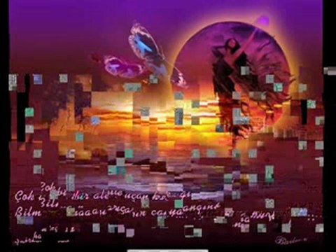 BİR ŞİŞE ŞARAP SIRDAŞIM OLSUN WWW.GİRSESLİYE.COM