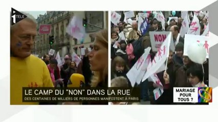 Mariage pour tous : le camp du "non" dans la rue