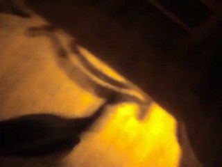 jeux avec michou ( Punchi )