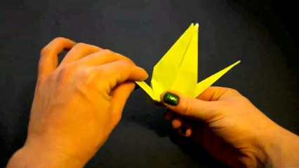 EELV Languedoc Roussillon vous souhaite une bonne année 2013 !