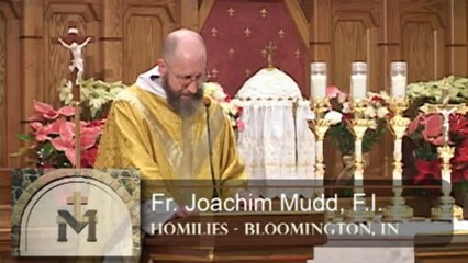 Jan 13 - Homily: Divinity of Jesus