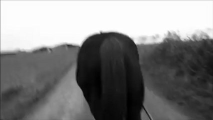 Petit travaille d'hiver avec ma troupe