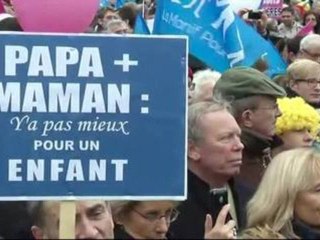 "Manif pour tous" : les images du cortège