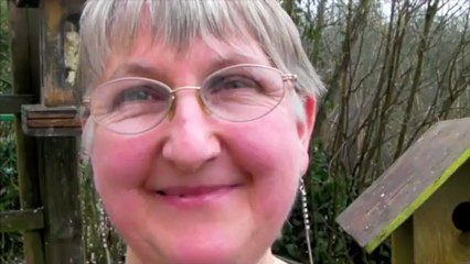 Un resto pour oiseaux à Saint-Michel