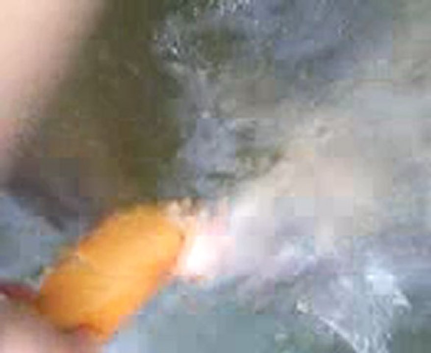 Carpes du Port Ariane, Lattes 34