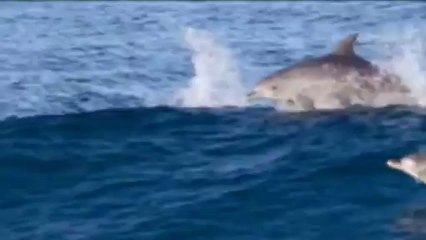 Ennio Morricone   Le vent, le cri