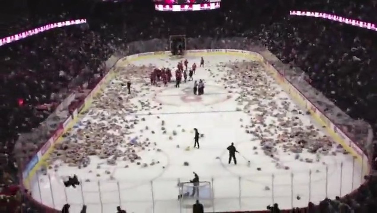 25 000 teddy bear on the ice ring* * * ***25 000 ours en peluche sur la patinoire