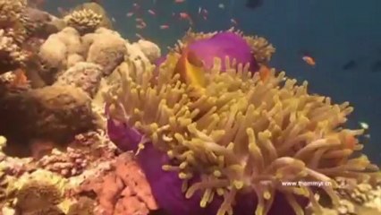 Nina Simone - Baltimore (Ex-Friendly Re-edit) - YouTube