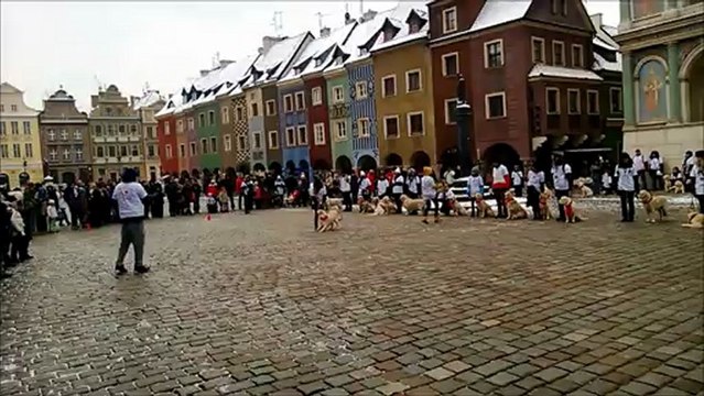 WOŚP Poznań - Kornelia Grduszak