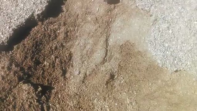 DG SUPPLIER SAN DIEGO. LDR. 619-749-3849