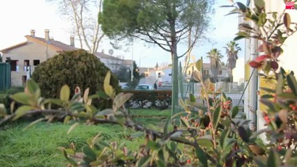 Appel aux votes - élection de la reine du carnaval 2013