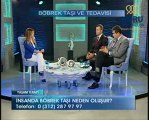 Böbrek taşı nedir Neden oluşur (Prof. Dr. Hasan Biri)