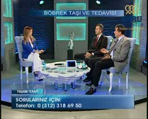 Böbrek taşına bitkisel çözüm (Prof. Dr. Hasan Biri)