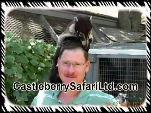 Pet Genets For Sale Austin TX | (512) 639-4087