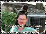 Pet Genets For Sale TX | (512) 639-4087