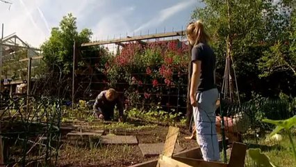 Grow Your Own Veg ~ Back to Your Roots