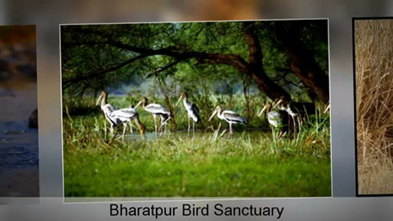Rajasthan Tourism: An Extravagant Treat for You