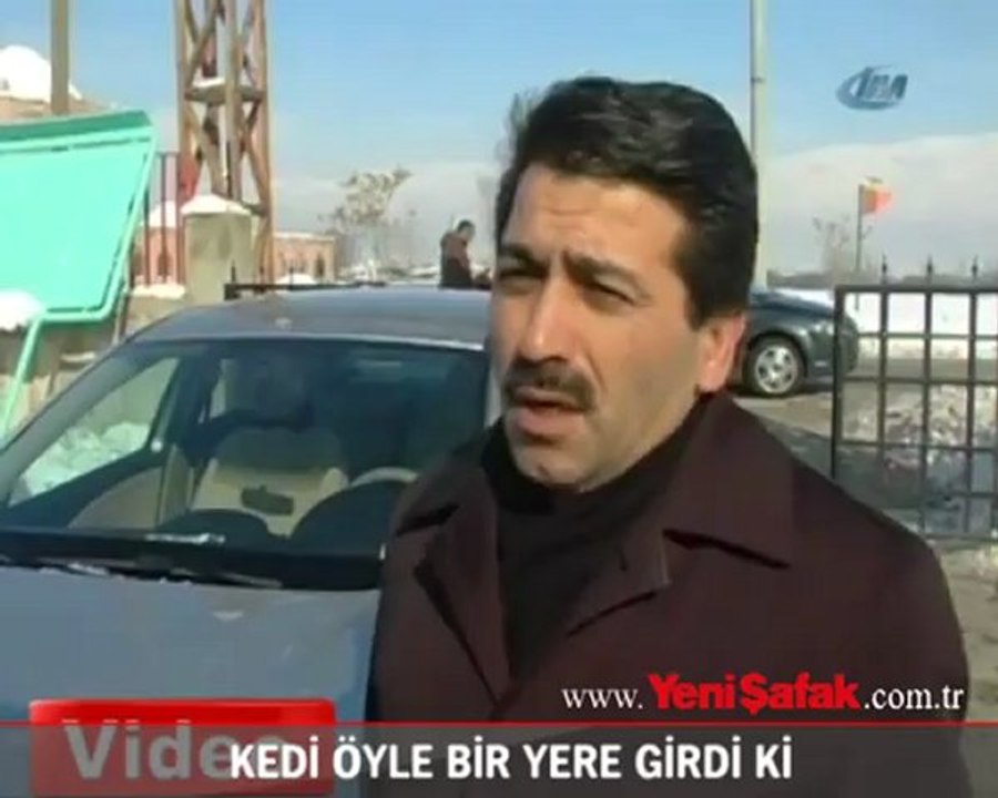 Bakın kedi nereye girdi