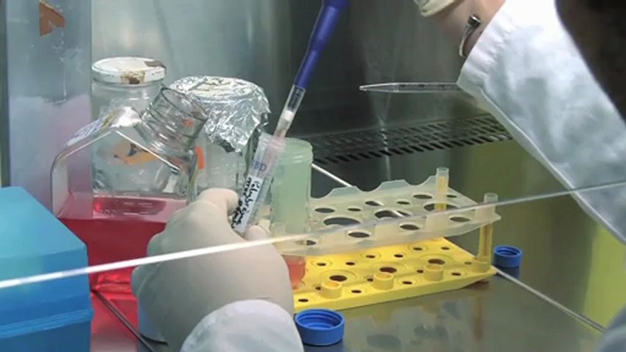 Institut Pasteur - tabagisme... et bien plus - Uwe MASKOS.mov