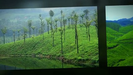 Have Thrilling Experience with Tour South India