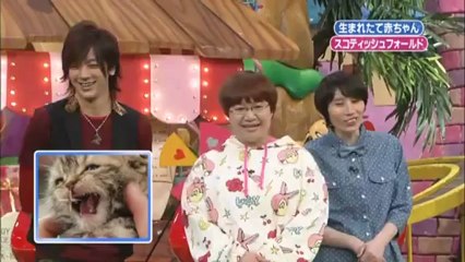 相葉ちゃんと猫