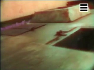 Les évadés d'Alcatraz