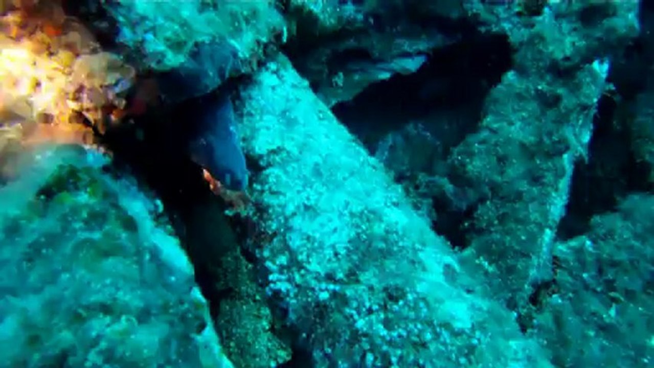 Plongée sur le Tromblon