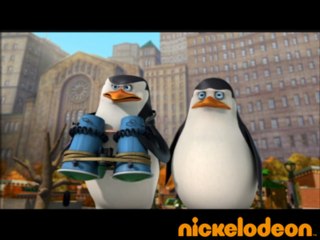 La fontaine - Les Pingouins de Madagascar