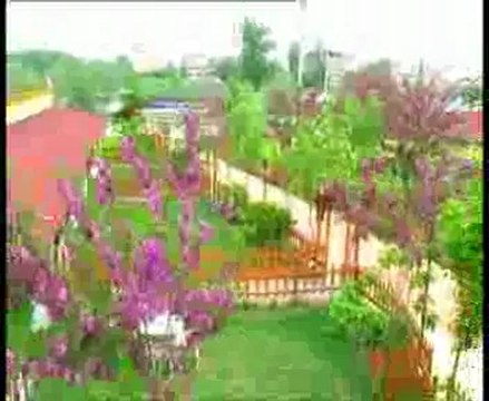 Aksaray Dİlara Aile Çay Bahçesi