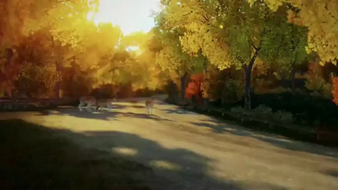 Forza Horizon - Making-of #2 - Les environnements (Colorado)