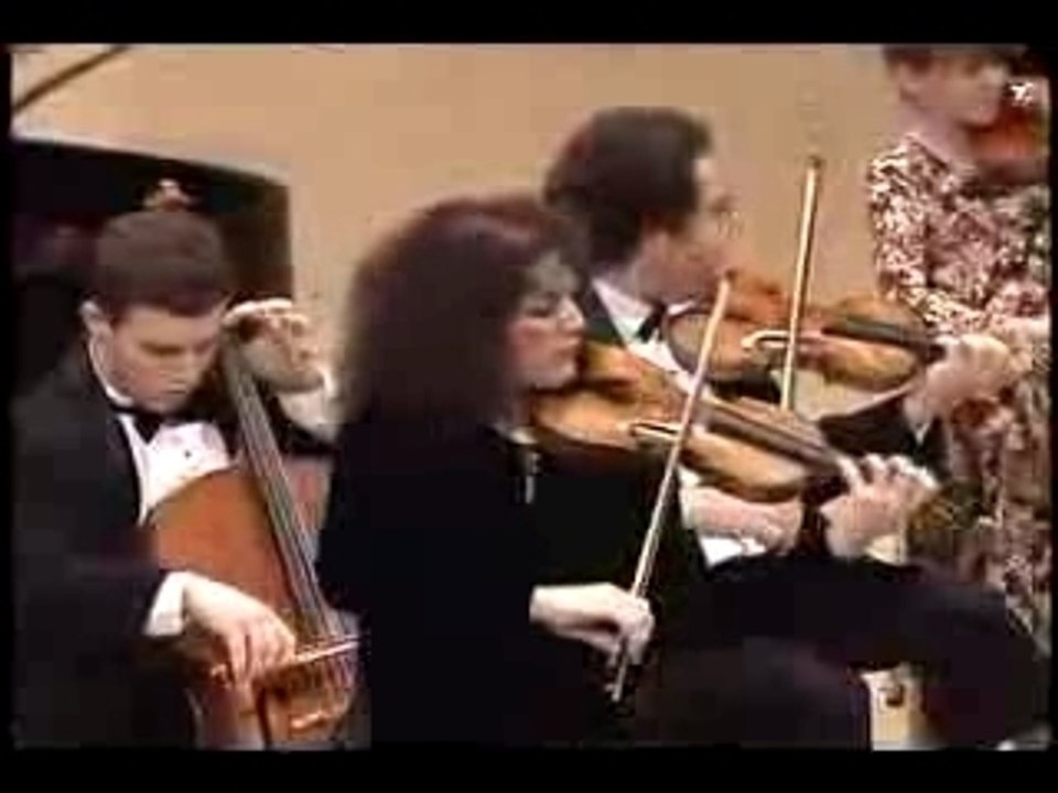 27 violons pour Bach