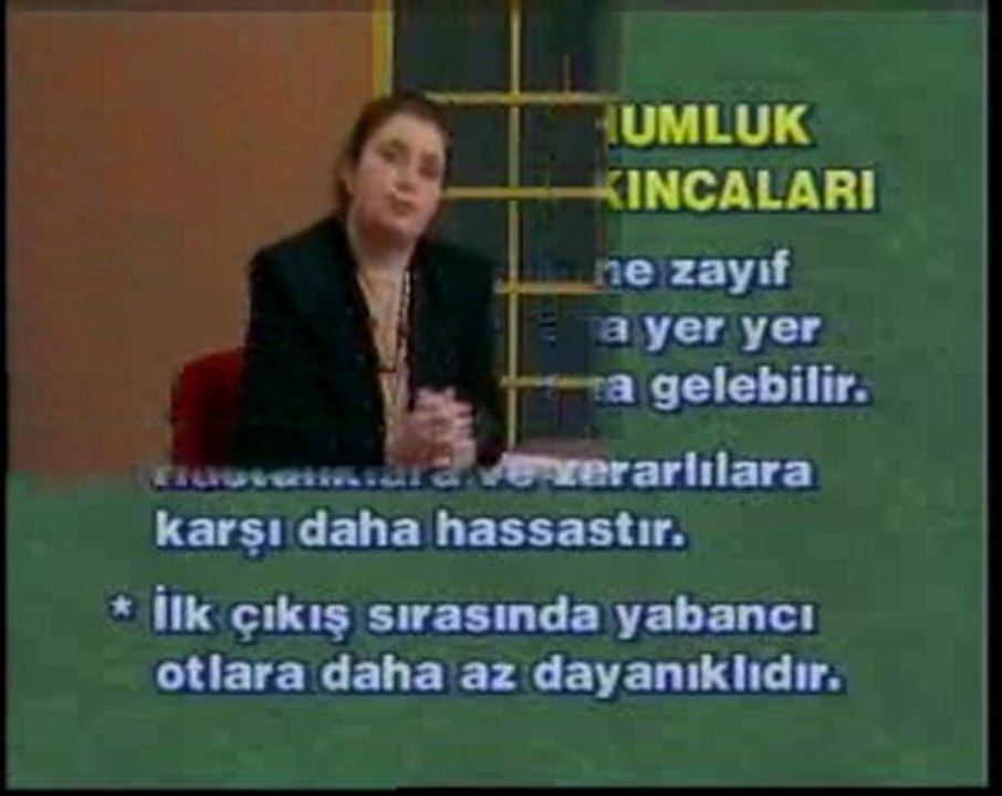 12ŞP