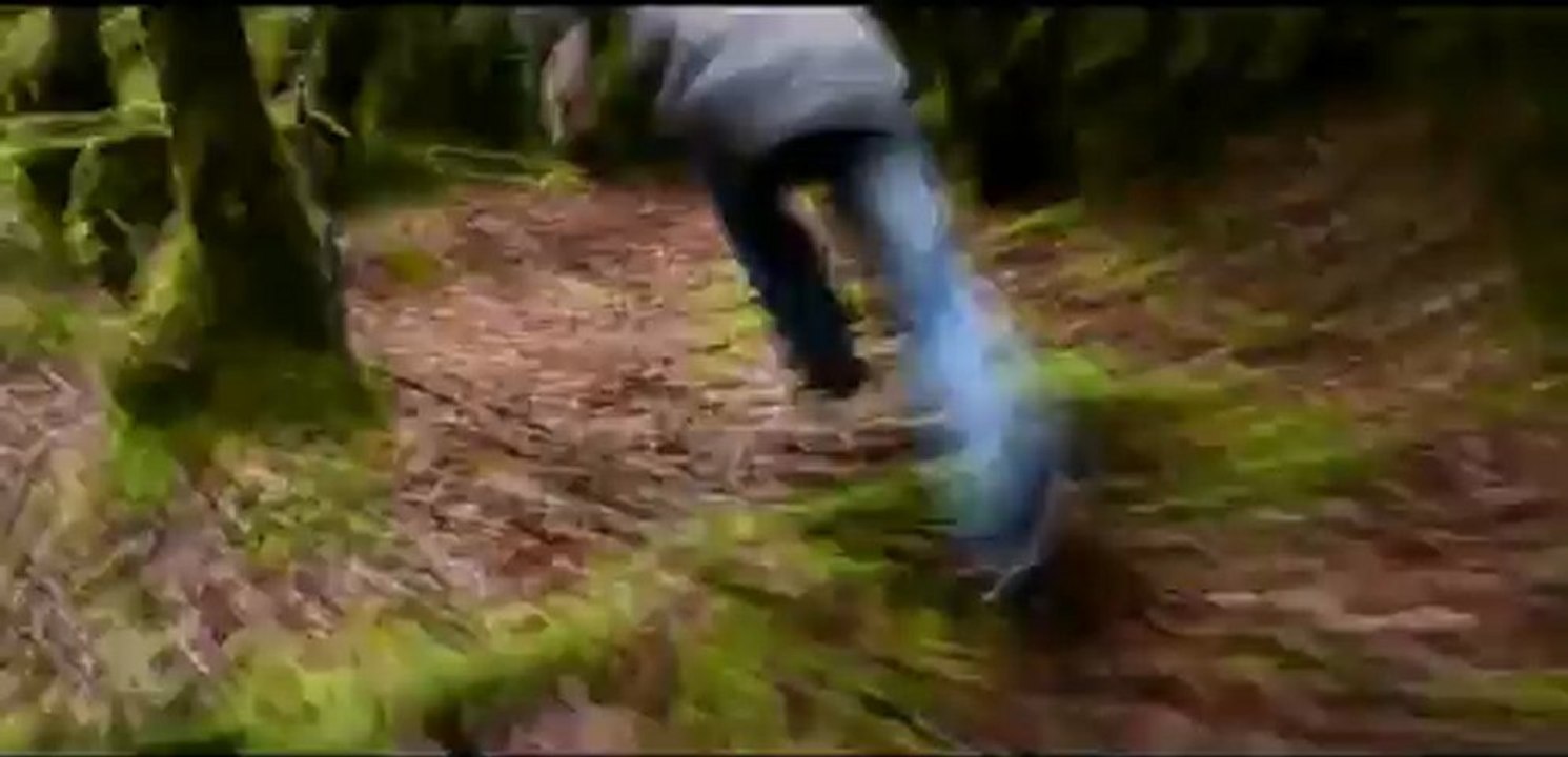 Qu'est ce que tu Cherches