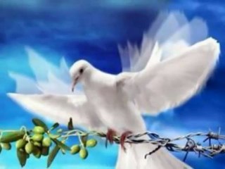 Birsen gul menekse senden almis kokuyu