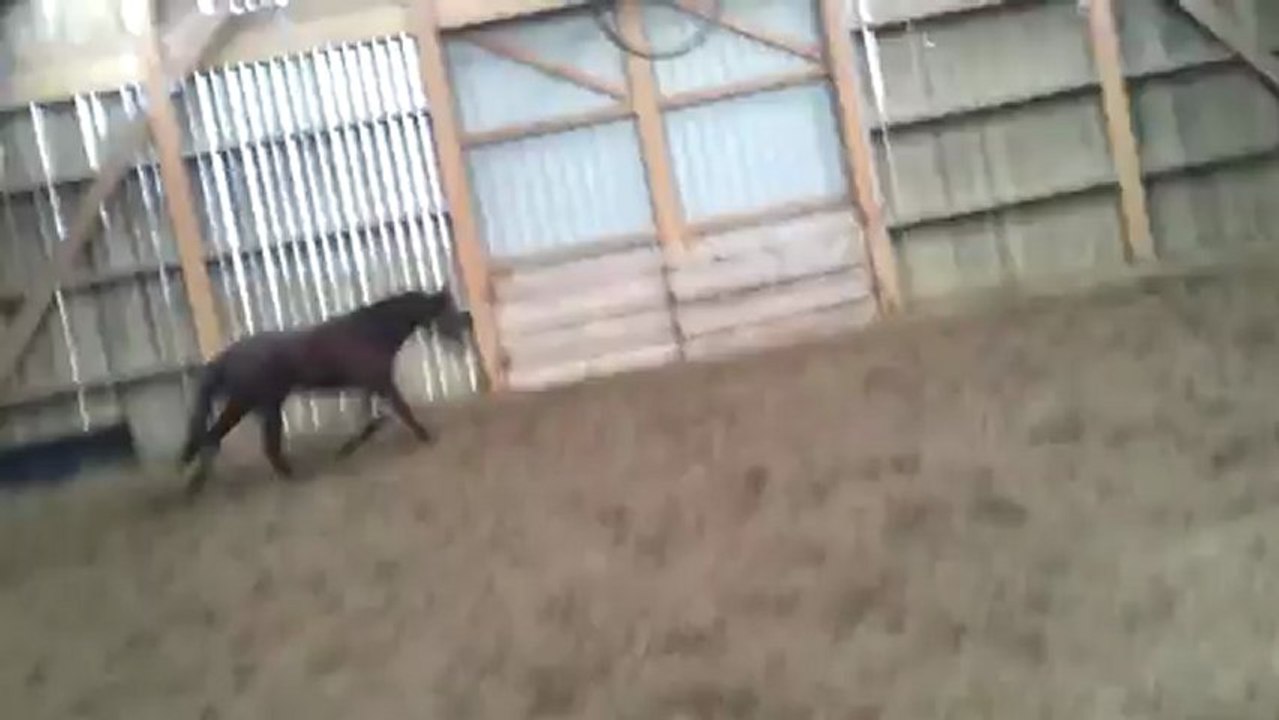Sprint en folie