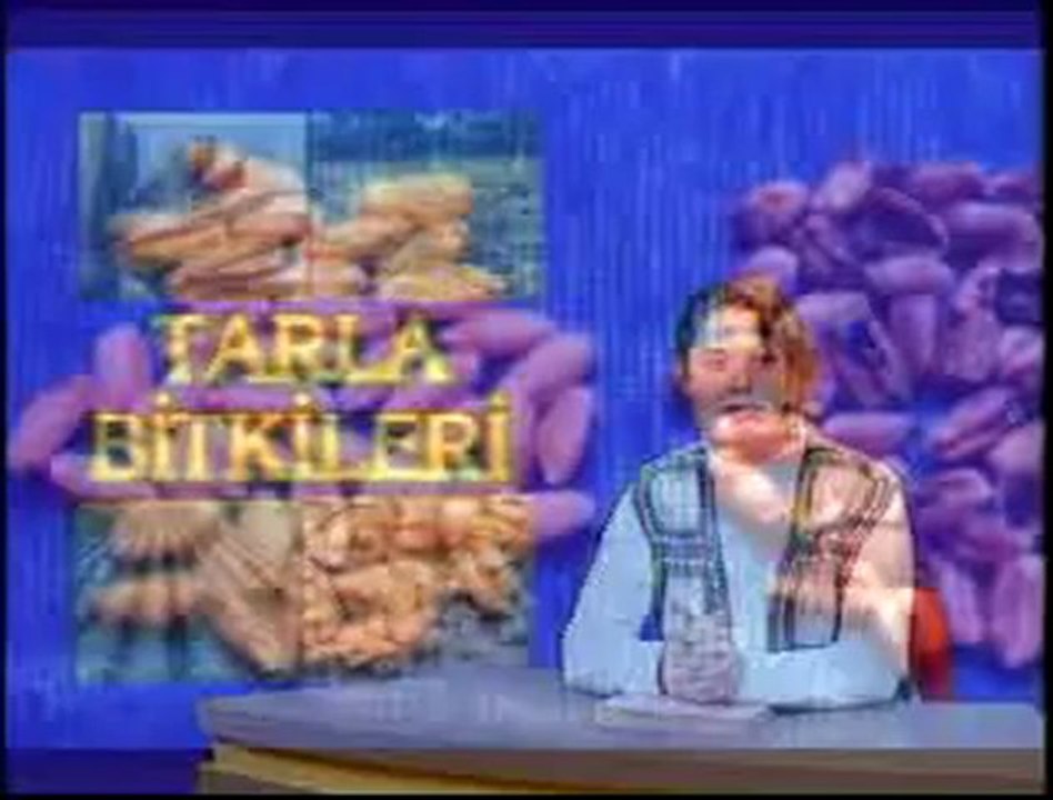 4SİTB
