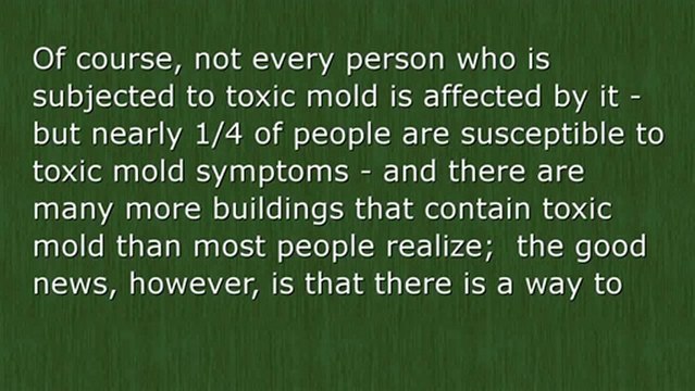 Black Mold Symptoms and Solutions