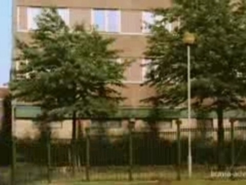 Sony Bravia Publicité Peinture